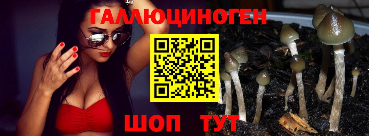 Галлюциногенные грибы мухоморы  Псилоцибиновые грибы мицелий  Зеленокумск  Вход с VPN 